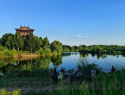 麻豆传煤最新视频-麻豆传煤最新视频，网络潮流的又一次探索